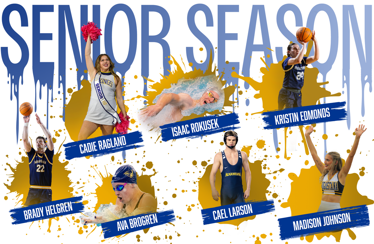 Vikings in the spotlight