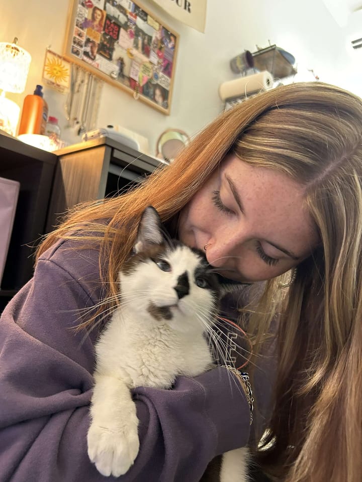 Cats make everything better